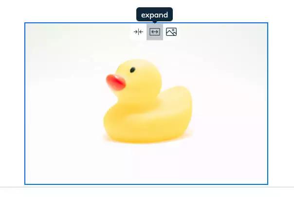 Rubber Duck Image Featuring Resize Tool
