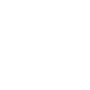 Authomize logo