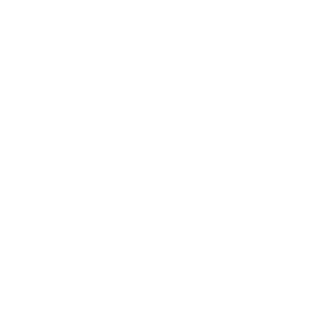 Fullfield logo