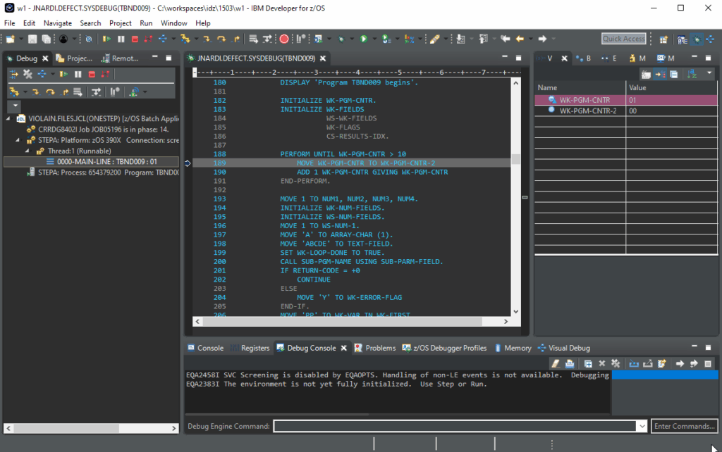 IBM Debug Tool for z/OS interface